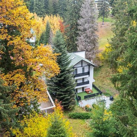 Family Treez Premium Apartments Poiana Brasov Exterior photo