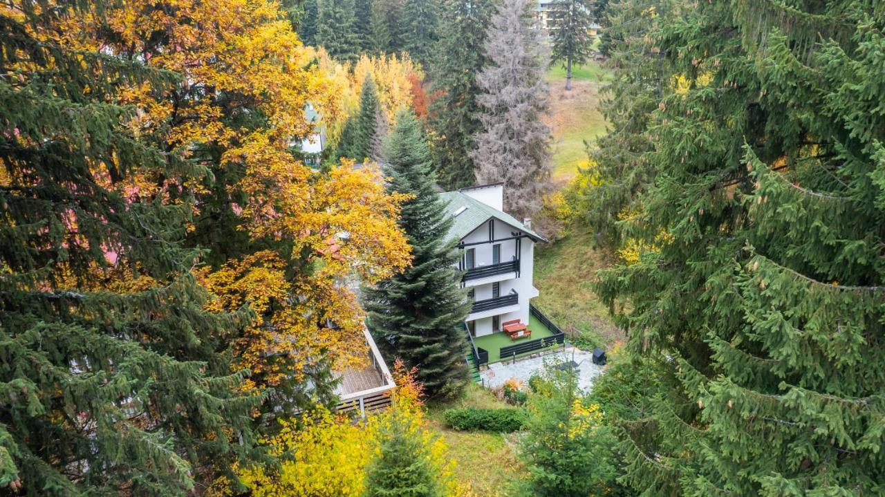 Family Treez Premium Apartments Poiana Brasov Exterior photo